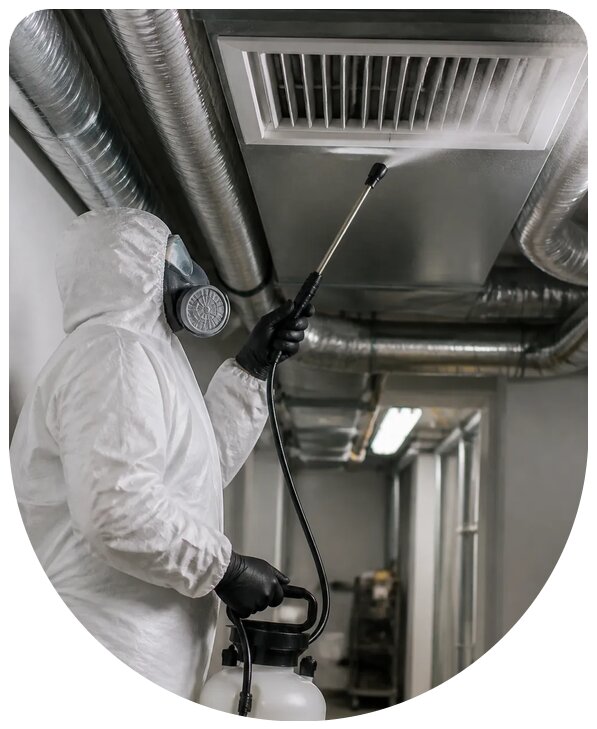 Профессиональная дезинсекция вентиляции зданий в Баксане